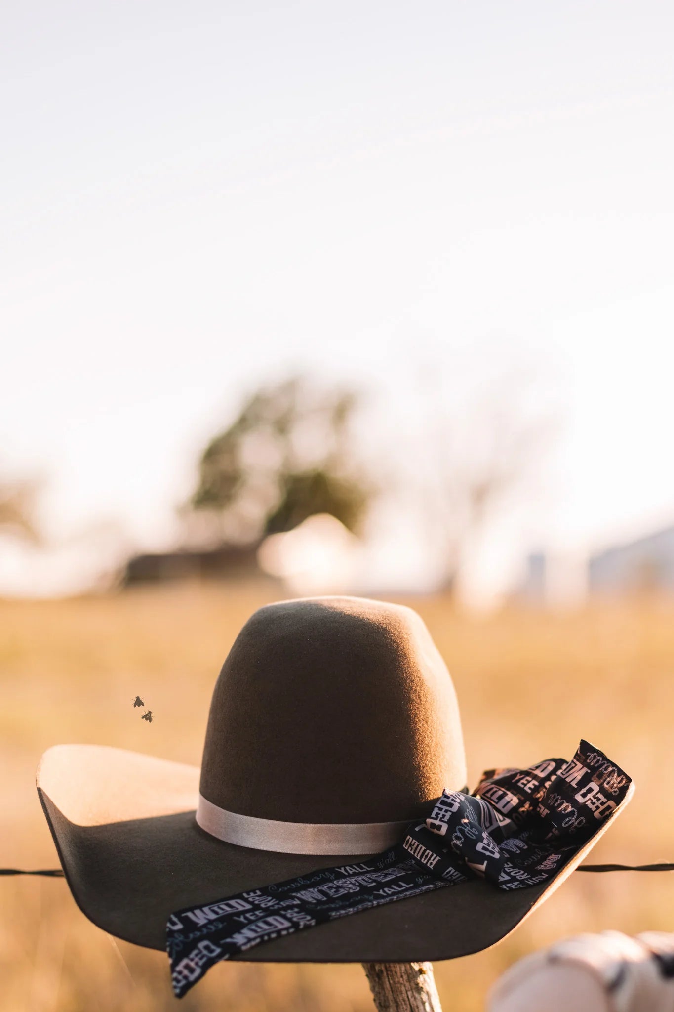 Twilly Tilly-Cowboy Talk